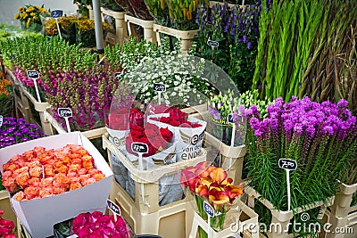 Flowers for sale at a Dutch flower market, Amsterdam, The Netherlands, October 12, 2017 Editorial Stock Photo