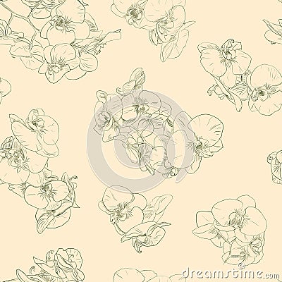 Flowers seamless pattern background line illustration orchids. Floral design elements. Vector Illustration