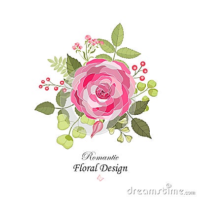 Flowers set. The rose elegant card. Vector illustration Vector Illustration