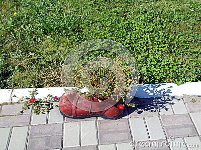 Flowers in a shoe grow in the middle of the garden Stock Photo