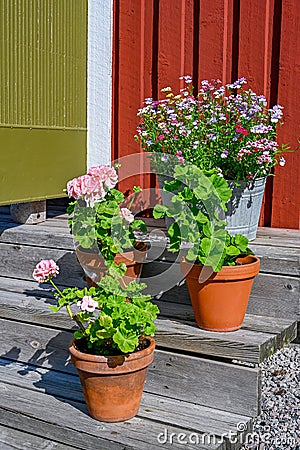 Flowers on stairs infront of a red wooden cabin Stock Photo