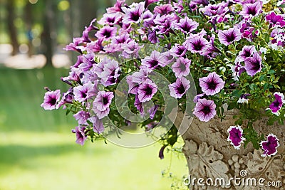 Flowers and stone vase in the park Stock Photo