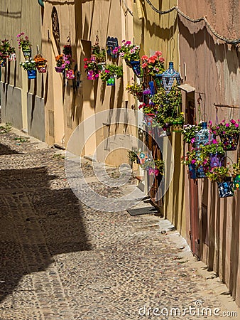 Flowers street Stock Photo