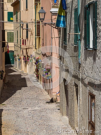 Flowers street Stock Photo