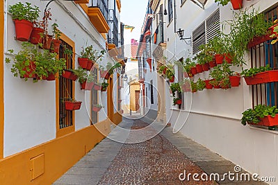 Flowers on street Cordoba, Andalusia, Spain Stock Photo