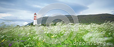 Flowers in summer breeze and Lighthouse Stock Photo
