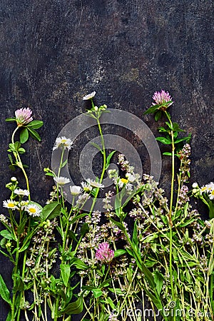 Flowers of thyme, clover, chamomile collected in a bouquet lie on a dark background. Wildflowers, herbs Stock Photo