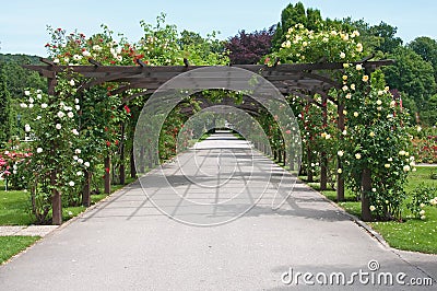 Flowers on trellis Stock Photo