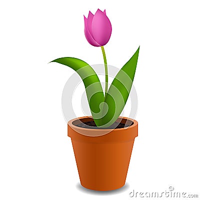 Flowers Tulip In Pot Vector Illustration