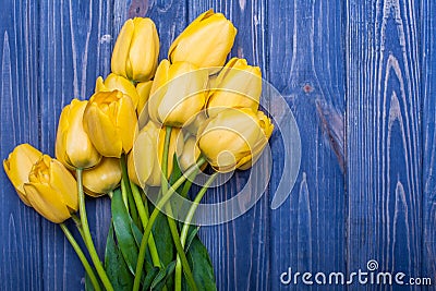 Flowers tulips yellow bouquet on blue backgraund Stock Photo