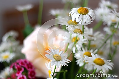 Flowers in a Vase Stock Photo