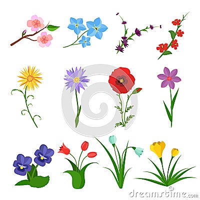 Flowers vector set on white background. Garden wild flower icons. Floral icons, summer spring flat. Rose, iris, tulip Vector Illustration