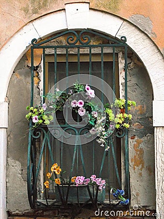 Flowers at Venice`s windows Stock Photo