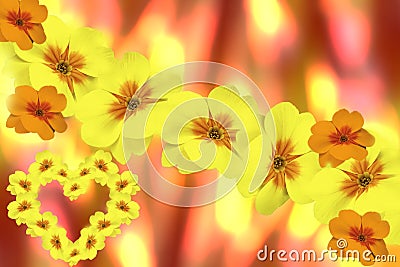 Flowers violets yellow. blurry yellow-red background. Card for Valentine`s Day. floral collage. flower Stock Photo