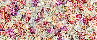 Flowers wall background with amazing red and white roses, Wedding decoration, hand made Stock Photo