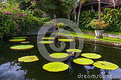 Flowers in water palace Tirta Ganga - Bali Island Indonesia Stock Photo