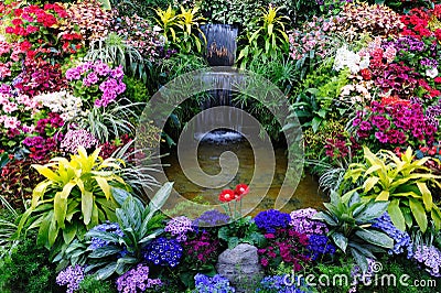 Flowers and waterfall Stock Photo