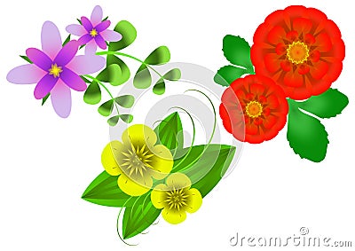 Flowers on a white background Vector Illustration