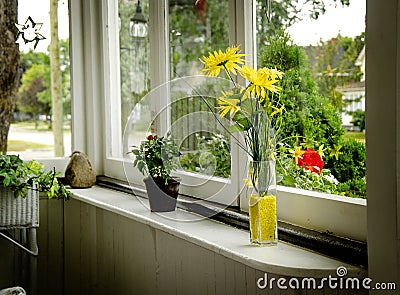 Flowers on Windowsill Stock Photo