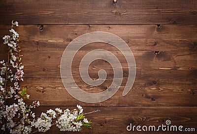 Flowers on wood texture background Stock Photo