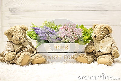 Flowers in a wooden box and cute bears. Flowers in a white wooden box, plush vintage bears. Romantic gift Stock Photo