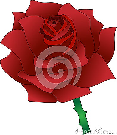 Flowing beautiful Red Rose Stock Photo