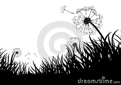 Flowing Dandelions Stock Photo