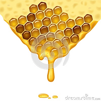 Flowing honey Vector Illustration