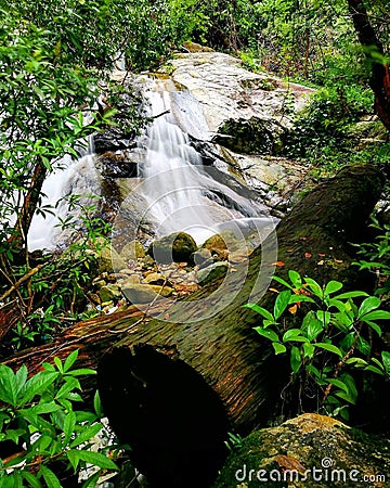 FLOWING IN A ROCKY STREAM IN A MOUNTAIN Stock Photo