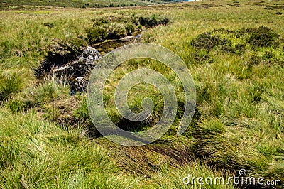 Flowing rocky Tarn river surrounded by greens in France Stock Photo
