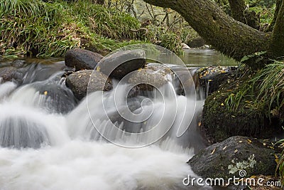 Flowing stream Stock Photo