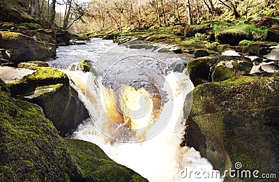 The flowing Stream Stock Photo