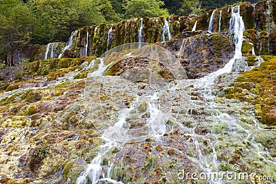 A flowing stream Stock Photo