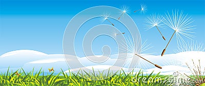 Fluff of dandelion on the landscape background Vector Illustration