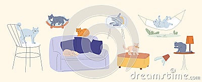 Fluffy cats, various poses cat. Different kittens sleep on sofa, resting in a hammock and chair. Pet cleaning, sitting Vector Illustration