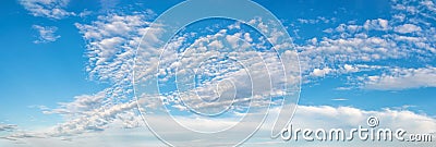 Fluffy cirrus clouds float slowly high in the azure blue sky on a sunny day. Panoramic skyscape of many small white clouds are Stock Photo
