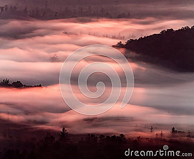 Fluffy clouds seen from above with the mountains peaking through Stock Photo