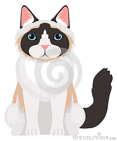 Fluffy cute cat sitting. Cartoon ragdoll breed icon Vector Illustration