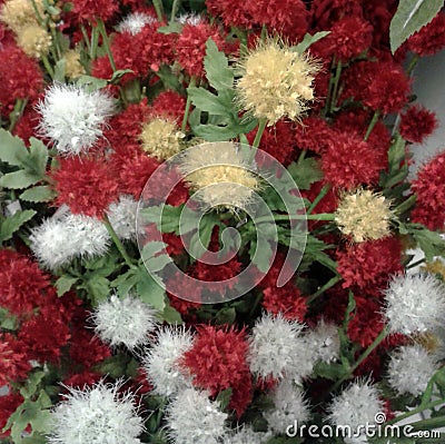 Fluffy Fake Flowers Stock Photo