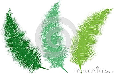 Fluffy Feathers Greens Stock Photo