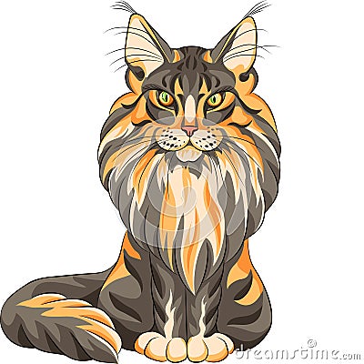 Fluffy Maine Coon cat Vector Illustration