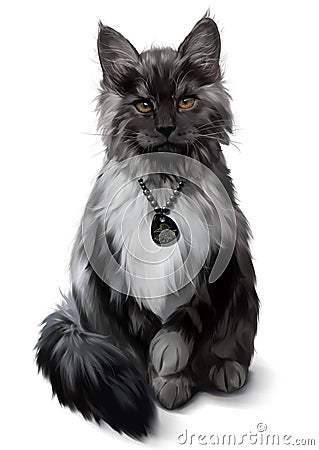 Fluffy Maine Coon gray-white color. Watercolor painting Stock Photo