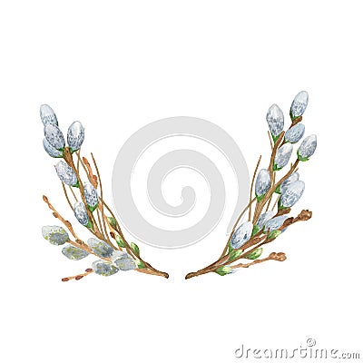 Fluffy pussy willow branches oval wreath floral spring composition, young twigs of trees, watercolor illustration for Cartoon Illustration