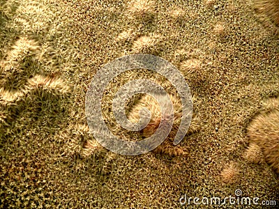 Fluffy sand produced by vibrating surface. Abstract background that looks like sand dunes from another planet Stock Photo