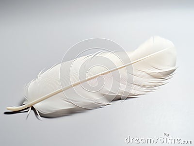 A Fluffy White Feather in the Light Stock Photo