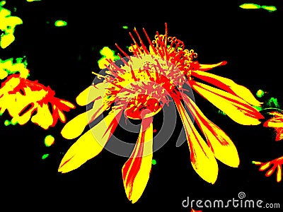 Fluorescent flower clipart Stock Photo