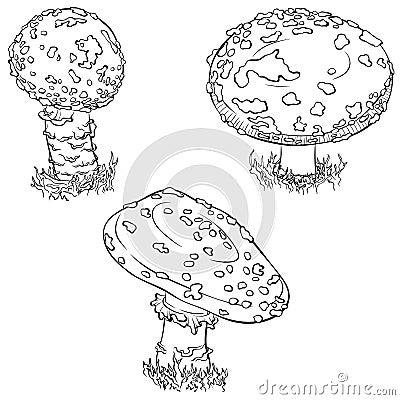 Fly agaric mushroom set Vector Illustration