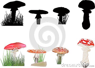 Fly agaric mushrooms collection isolated on white Vector Illustration