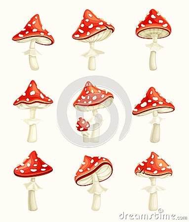 Fly agaric poisonous mushrooms set . Amanita toadstools with red spotted cap cartoon vector illustration Vector Illustration