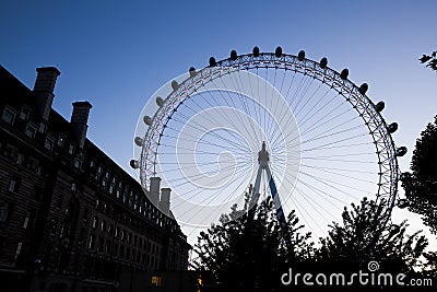 Fly with circle Editorial Stock Photo